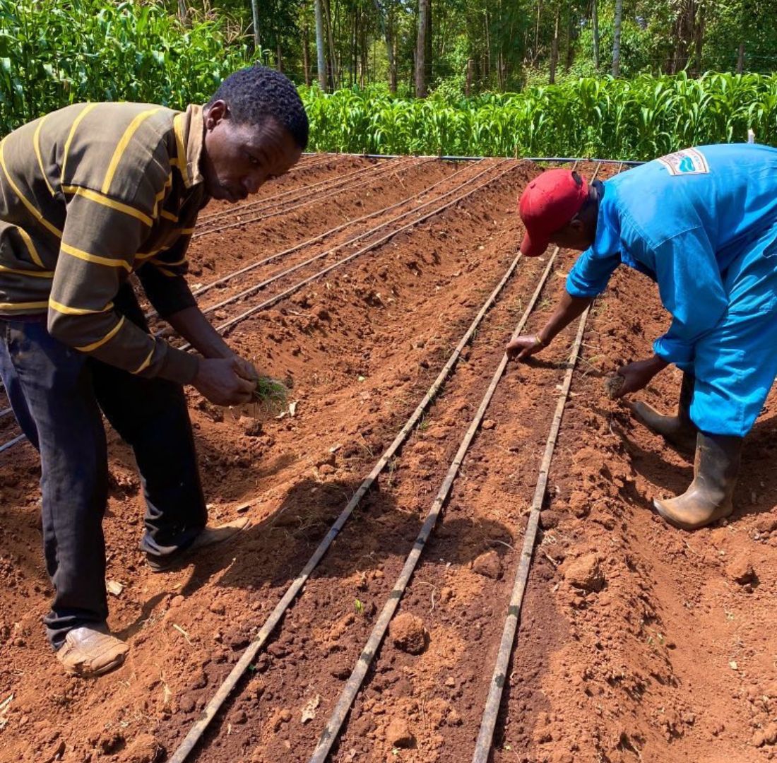 DayLipa Finance Limited, has been launched to provide flexible and affordable financing for customers to purchase and use of a range of energy assets that can increase incomes and improve environmental resilience across Sub-Saharan Africa