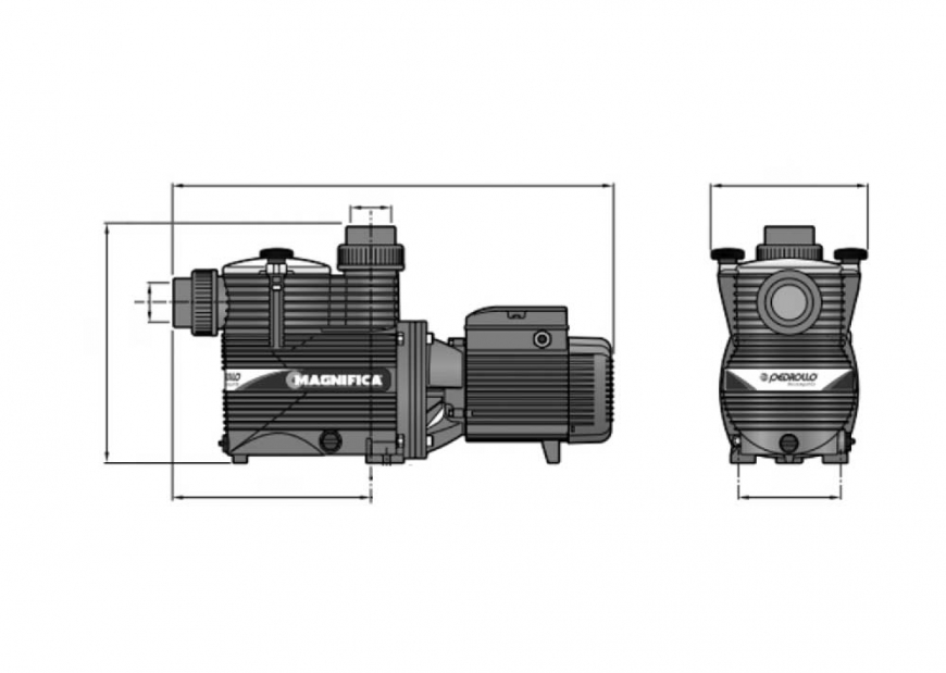 Pedrollo Magnifica Pool pump Schema