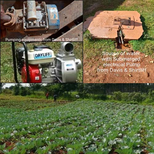 Eugene Elavuna Omoke, Dayliff Engine Pump, Booster pump